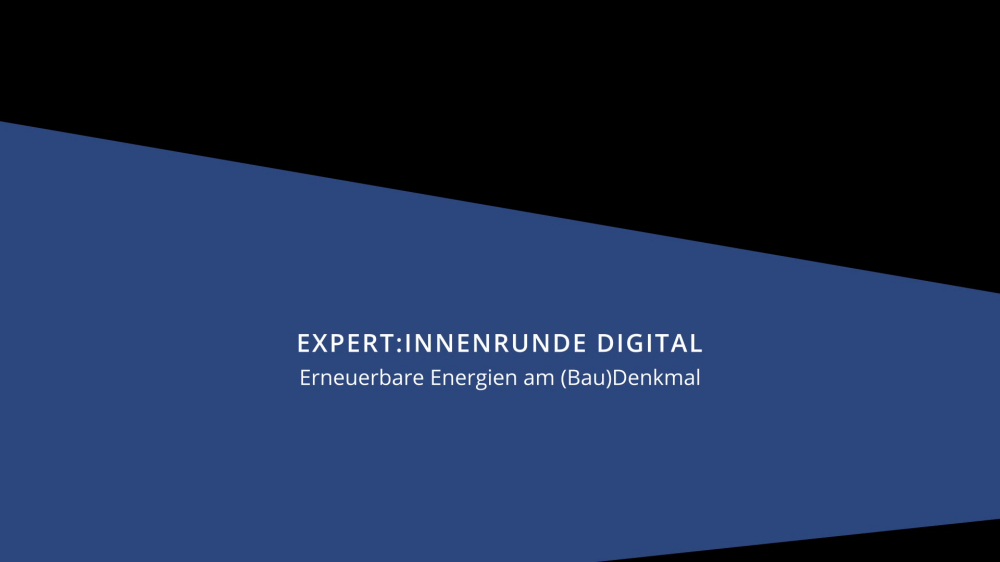 Titelbild Video: Expert:innenrunde digital